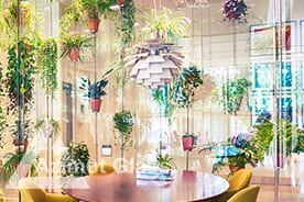 ”Раздвижные